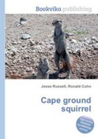 Cape ground squirrel
