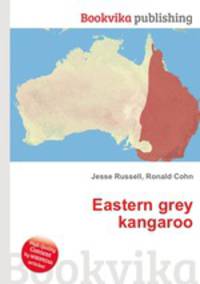 Eastern grey kangaroo