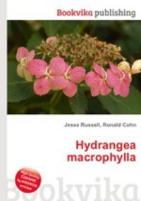 Hydrangea macrophylla