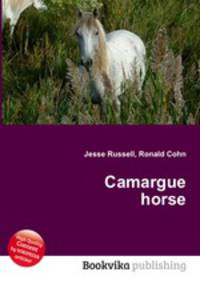 Camargue horse
