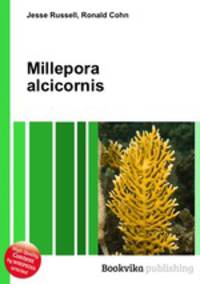 Millepora alcicornis
