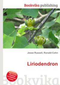 Liriodendron
