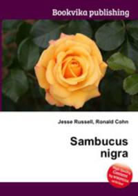 Sambucus nigra