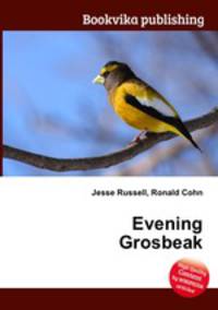 Evening Grosbeak