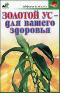 Золотой ус - для вашего здоровья