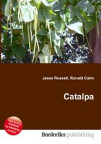 Catalpa