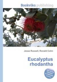 Eucalyptus rhodantha