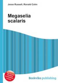 Megaselia scalaris