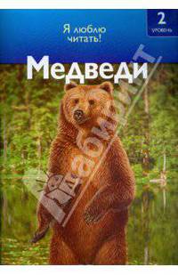 Медведи