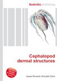 Cephalopod dermal structures