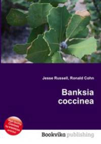 Banksia coccinea
