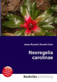 Neoregelia carolinae