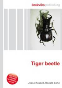 Tiger beetle