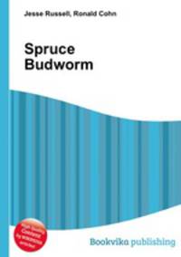 Spruce Budworm