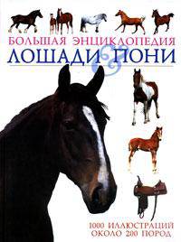 Лошади & пони. Большая энциклопедия