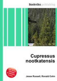 Cupressus nootkatensis