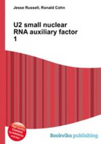 U2 small nuclear RNA auxiliary factor 1