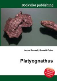 Platyognathus