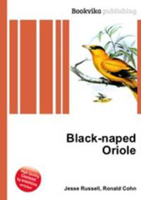 Black-naped Oriole
