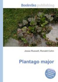 Plantago major