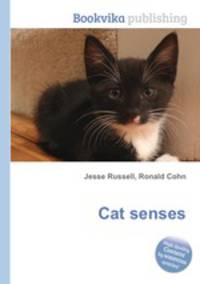 Cat senses
