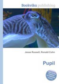 Pupil