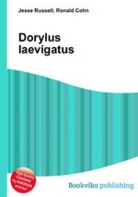 Dorylus laevigatus