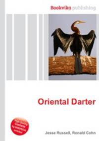 Oriental Darter