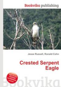 Crested Serpent Eagle