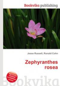 Zephyranthes rosea