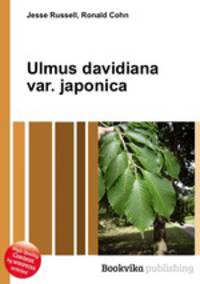 Ulmus davidiana var. japonica