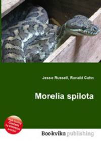 Morelia spilota