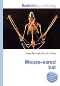 Mouse-eared bat