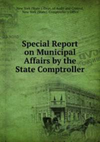 Special Report on Municipal Affairs by the State Comptroller