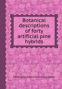 Botanical descriptions of forty artificial pine hybrids
