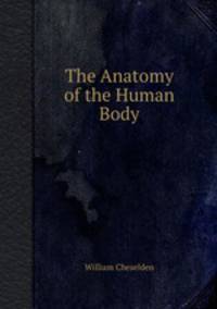 The Anatomy of the Human Body