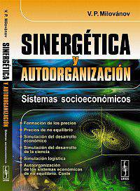 Sinergetica y autoorganizacion: Sistemas socioeconomicos