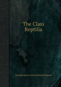 The Class Reptilia