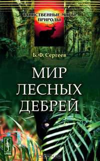 Мир лесных дебрей - 2 изд.