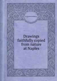 Drawings faithfully copied from nature at Naples