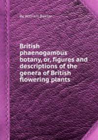 British phaenogamous botany, or, figures and descriptions of the genera of British flowering plants