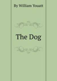 The Dog