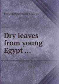 Dry leaves from young Egypt ...