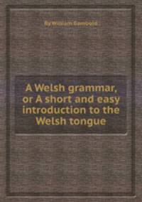 A Welsh grammar, or A short and easy introduction to the Welsh tongue