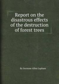 Report on the disastrous effects of the destruction of forest trees