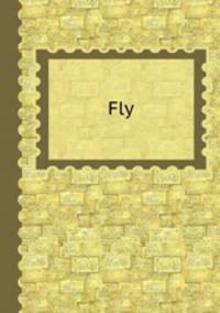 Fly