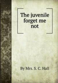The juvenile forget me not
