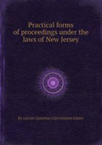 Practical forms of proceedings under the laws of New Jersey