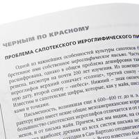 Зримый глагол. Книга 2. От рисунка к знаку. Возникновение письменности