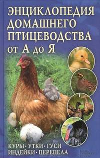 Энциклопедия домашнего птицеводства от А до Я. Куры, утки, гуси, индейки, перепела / Крылов П.